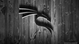Kali Linux Wallpaper Dude Click On The Image To See