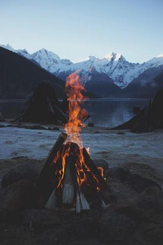 Burning Wood On Fire Pit Photo Image