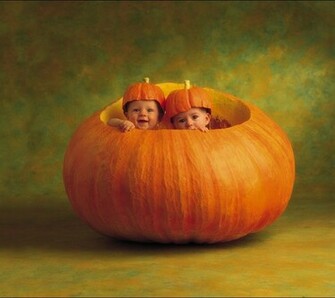 Pretty Pumpkin Background Cute Wallpaper