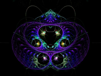 Lightning Bugs Wallpaper Pregnant Bug By