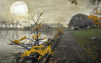 Songhees Victoria Canada British Columbia Wallpaper