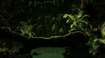 High Definition HD Wallpaper Full Part