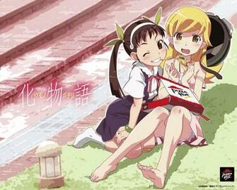Mayoi Hachikuji HD Wallpaper Background Image