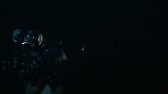 Cool Glamour Shots Background Pelagic Life Lights