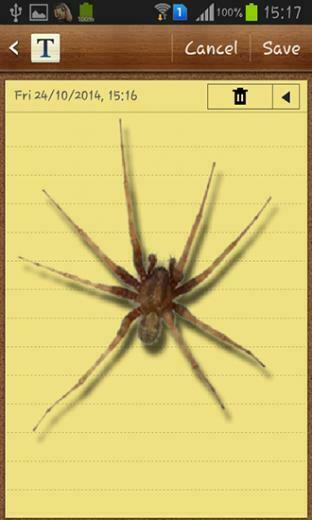 Spider In Phone Live Wallpaper Screenshots How Does It Look