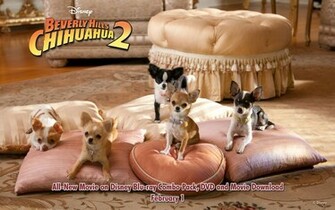 Beverly Hills Chihuahua2 Wallpaper Disney