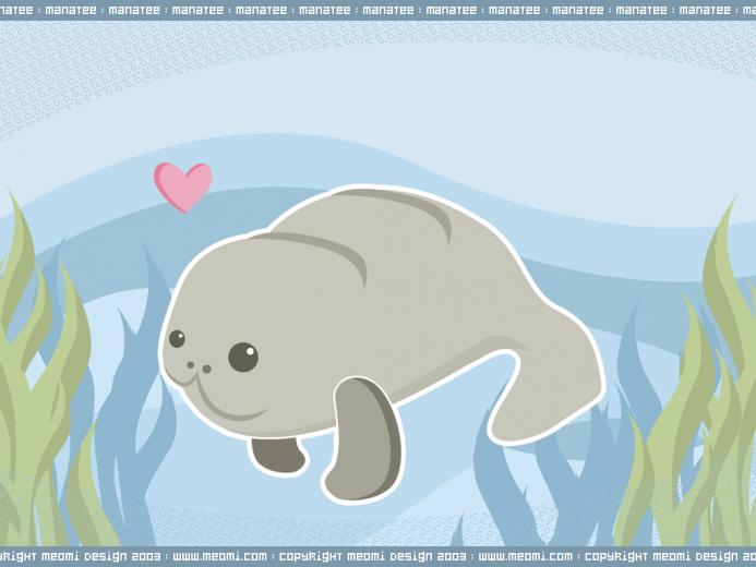 Kawaii Shuushuu Meomi Wallpaper Cute Background