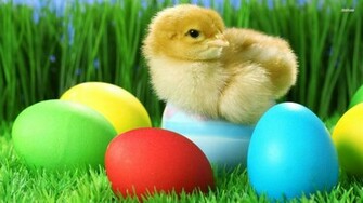 HD Bunnies And Easter Wallpaper Desktop Background Funmole