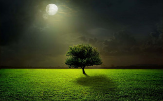 Dark Nature Background Wallpaper