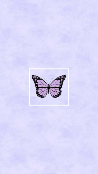 Cute Purple Butterfly Wallpaper