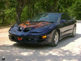 Photo Of A Pontiac Trans Am Ws6 Ls1 Ram Air Bluie With Bird