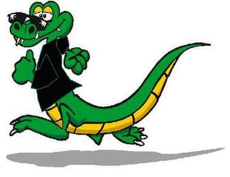 Cool Gator
