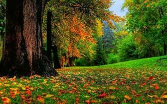 HD Wallpaper Hub Nature