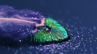 Glitter Background Net