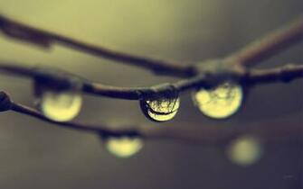 Collection Great Pictures Pure High Definition HD You Can