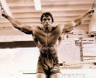 Arnold Posing Mr Olympia Wallpaper