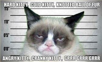 Grumpy Cat S Song