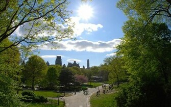 Central Park In Manhattan Wallpaper World