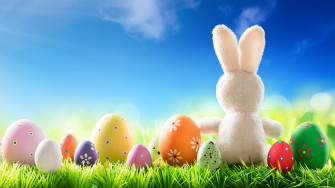 Picture Easter Rabbits Eggs Grass