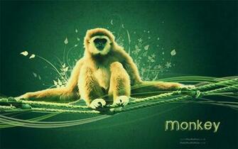 Monkey Desktop Background