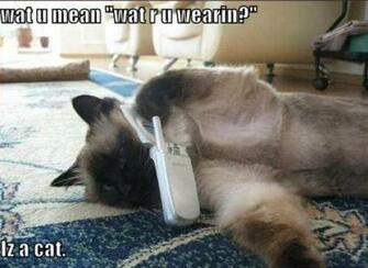 Free Download Funny Animals With Captions 19 Desktop Wallpaper Wallpaper 600x401 For Your Desktop Mobile Tablet Explore 48 Funny Animal Wallpapers With Captions Funny Animal Wallpapers With Captions Funny