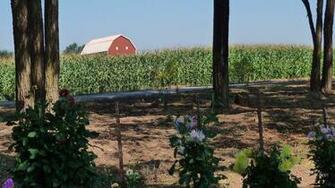 Farm Country Wallpaper