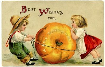Thanksgiving Pumpkin HD Wallpaper Background Pum