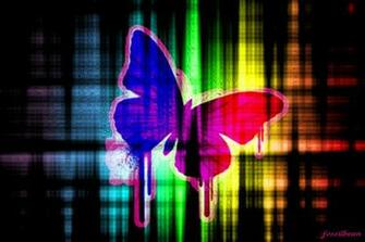Colorful Butterfly Background Wallpaper