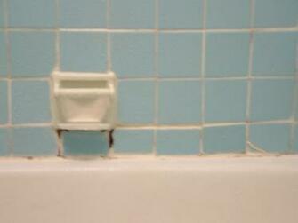 Remove Black Mold Found Behind Bathroom Wallpaper