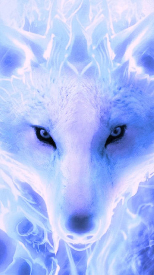 Wolf Wallpaper