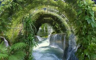 Greenhouse Waterfall Plants Wallpaper