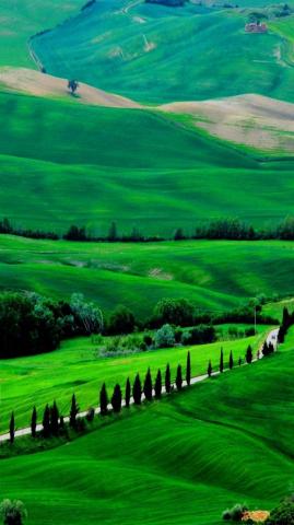 Green Landscape Wallpaper Beautiful Nature