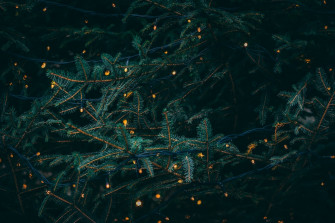 Christmas Wallpaper HD Hq