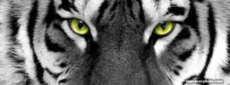 Nice Wallpaper Crazy Fb Cover