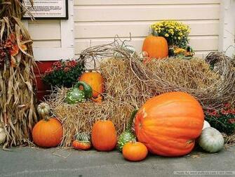 Fall Desktop Wallpaper Pumpkins In HD