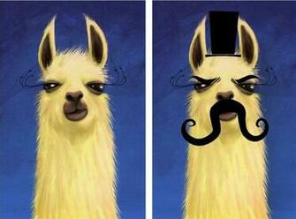Cute Llama Wallpaper