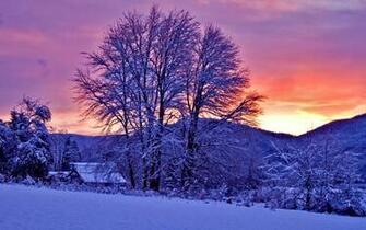 Winter Sunset Snow Trees Landscape Wallpaper Nature