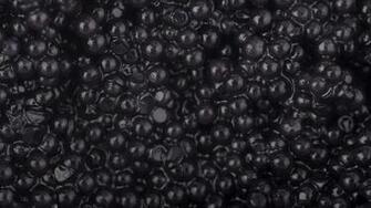Nature Food Macro Caviar Wallpaper