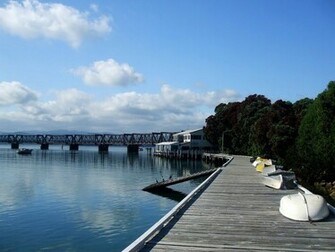 Bright Sunny Day At Tauranga Wallpaper