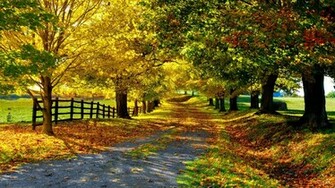 Wallpaper Background Autumn Photography