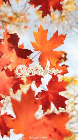Amazing Fall Wallpaper Background For iPhone In