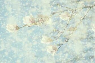 Babies Wallpaper Baby Blue