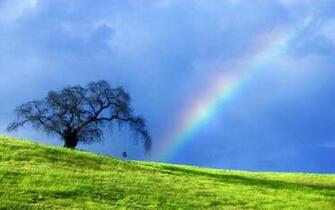Nature Rainbow HD Wallpaper
