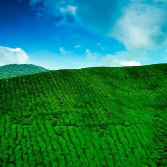 Nature iPad Air Wallpaper HD Retina And