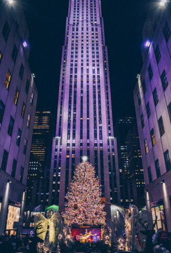 White And Black High Rise Building Photo Usa Image