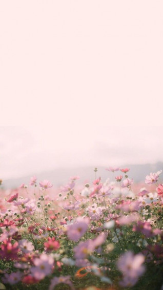 Spring Aesthetic Wallpaper For iPhone Imagem