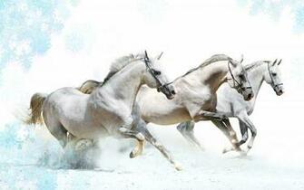 Horse Wallpaper
