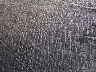 Elephant Skin Texture