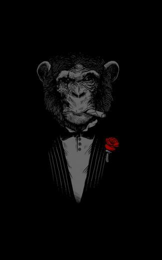 Chimpanzee Cigars Red Rose iPhone Plus HD Wallpaper Ipod
