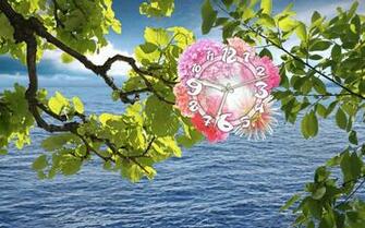 Water Flower Clock Screensaver Imagine Yourself Sitting Among